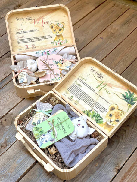 coffret cadeau de naissance valise maternité lionne bébé avec cartes étapes