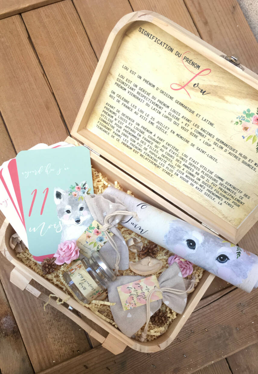 coffret cadeau de naissance valise maternité thème loup bébé avec cartes étapes