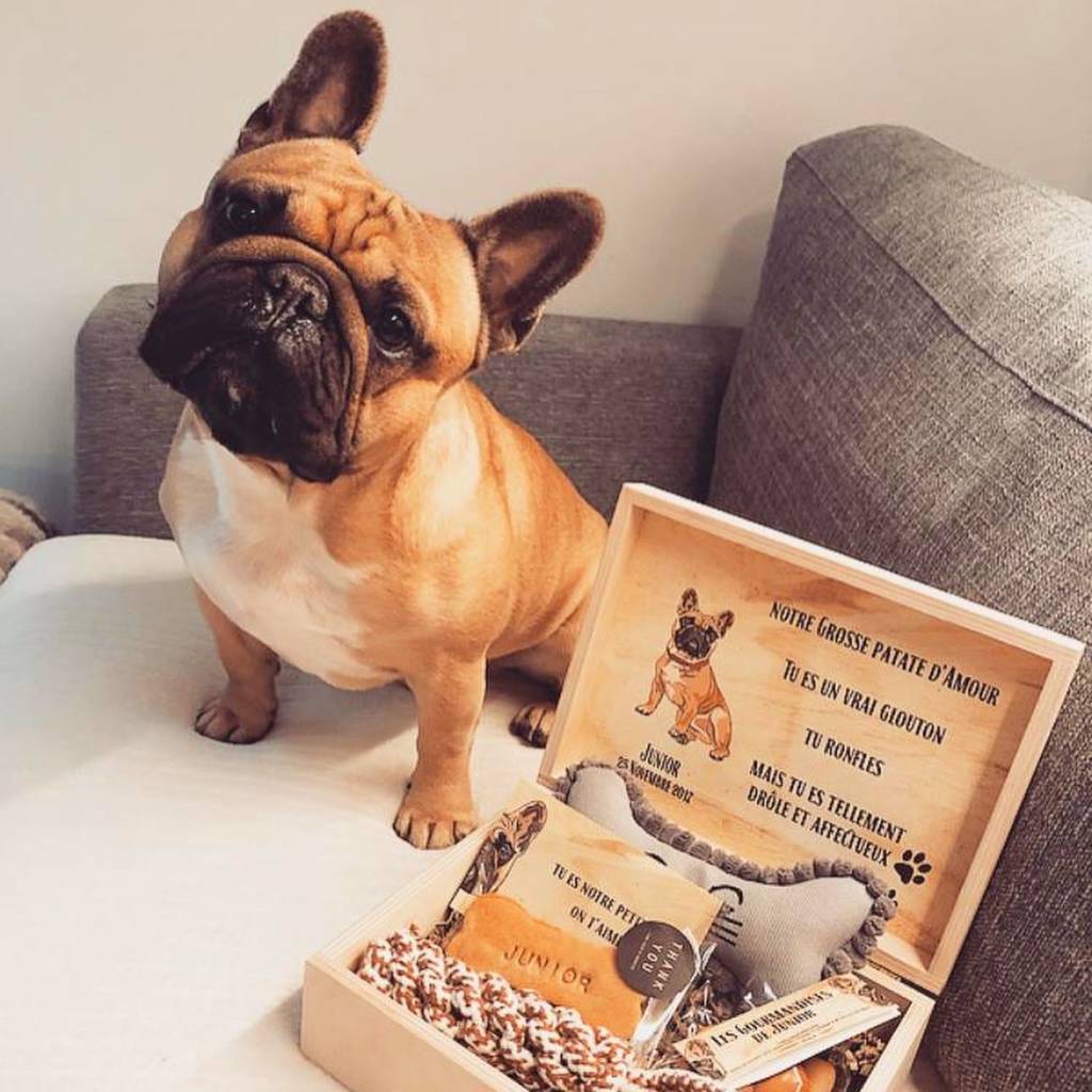 Box cadeau pour vos animaux de compagnie à 4 pattes