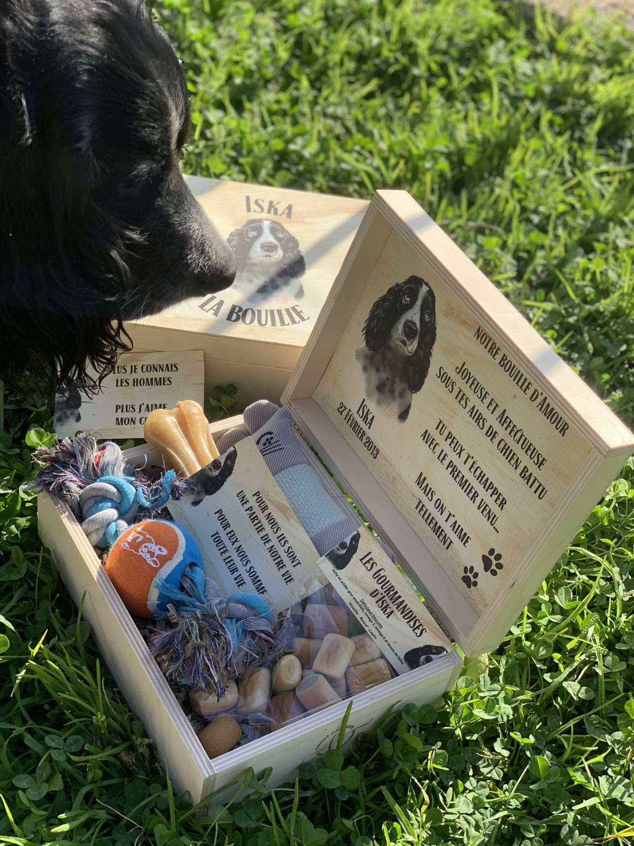 Box cadeau pour vos animaux de compagnie à 4 pattes